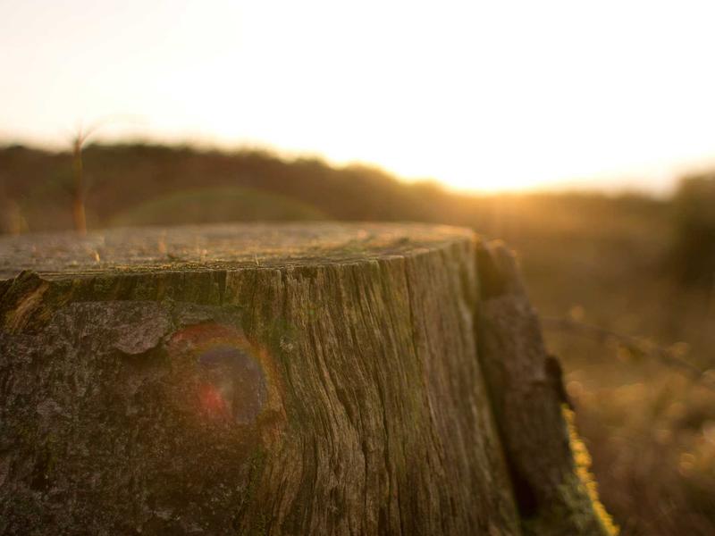 sudoku ocean theme screenshot 5